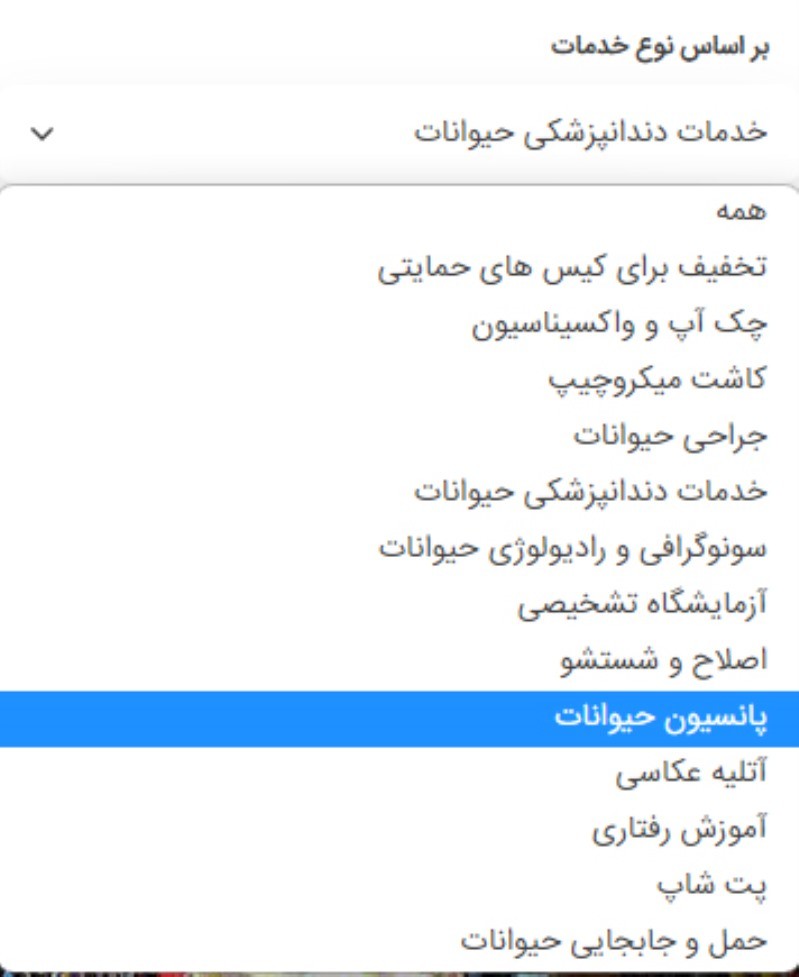لیست مراکز پانسیون حیوانات نزدیک من 