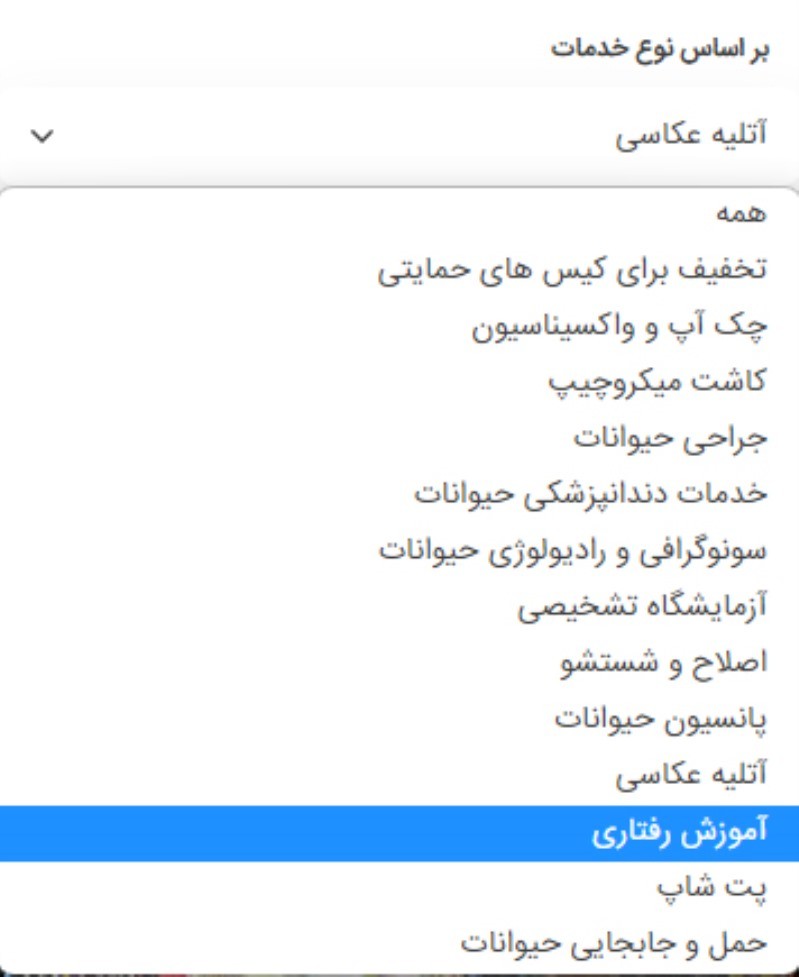 مراکز آموزش رفتار به حیوانات نزدیک من | پت لینک 