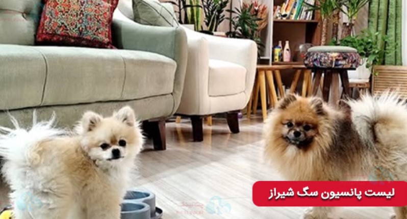 پانسیون حیوانات خانگی پارادایس در شیراز | پانسیون سگ شیراز