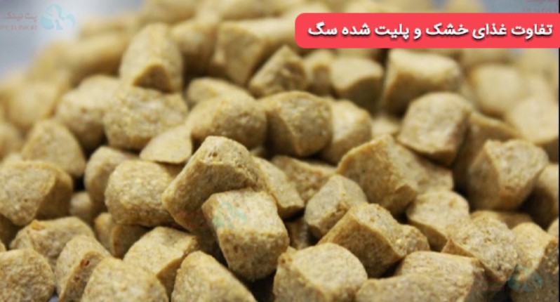 تفاوت غذای خشک سگ و پلیت سگ | Pelleted Food vs Dry Food / Kibble