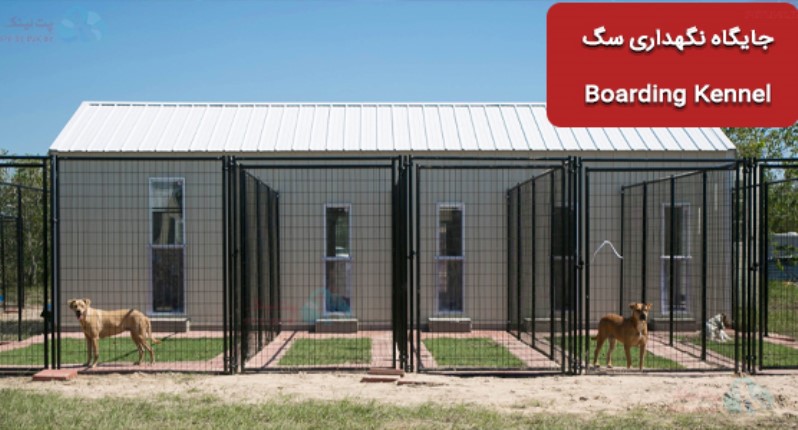 Boarding Kennel (لانه/جایگاه نگهداری سگ) | پانسیون حیوانات چیست