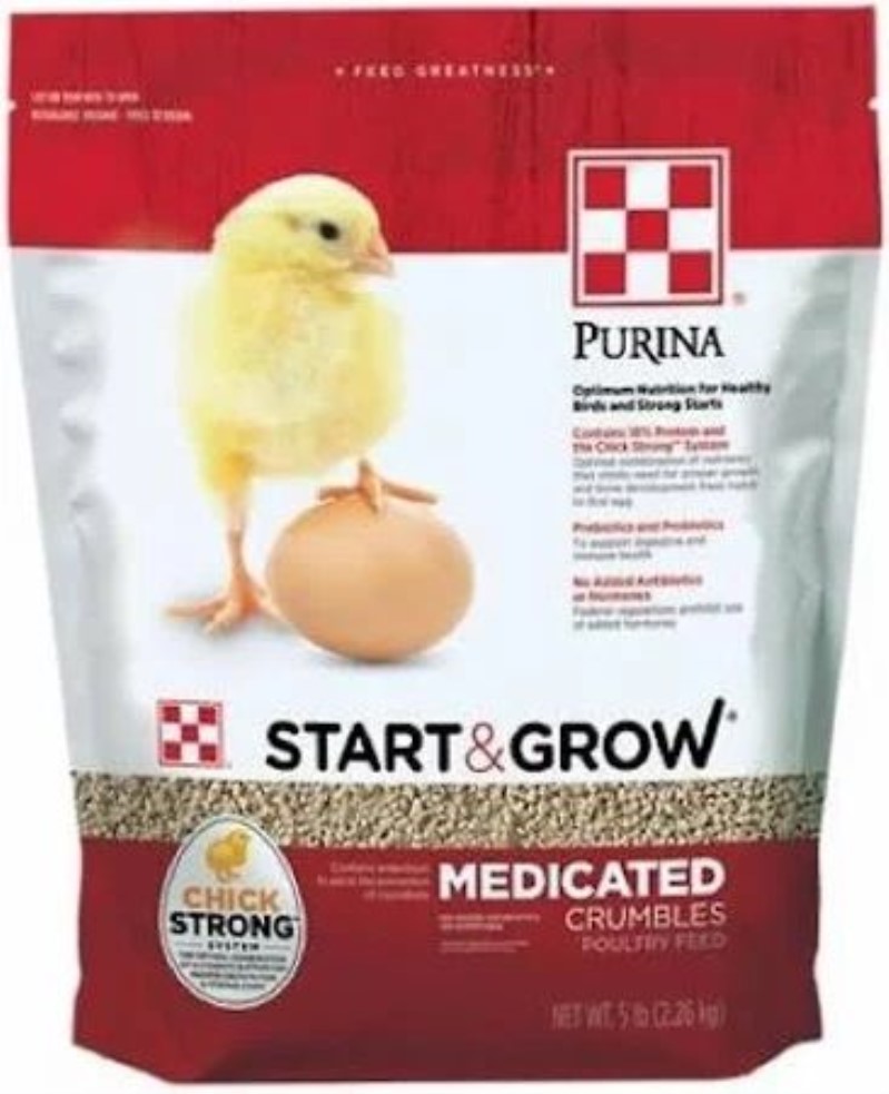 Chick starter یا غذای خشک جوجه بعد از گرفتن از سرلاک