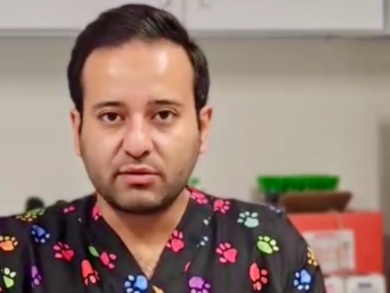 آرایشگاه سگ در کرج | دکتر حاتمی