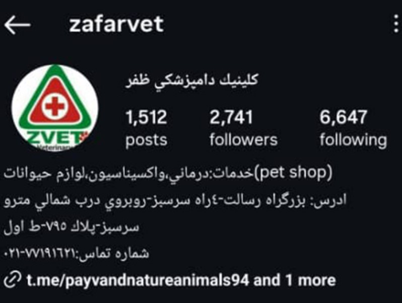 فروشگاه پت و کلینیک دامپزشکی ظفر چهارراه سرسبز