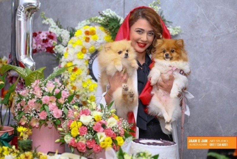 کلینیک دامپزشکی دکتر سروناز گیاهی ( رشت وت) در رشت | دامپزشکی های رشت