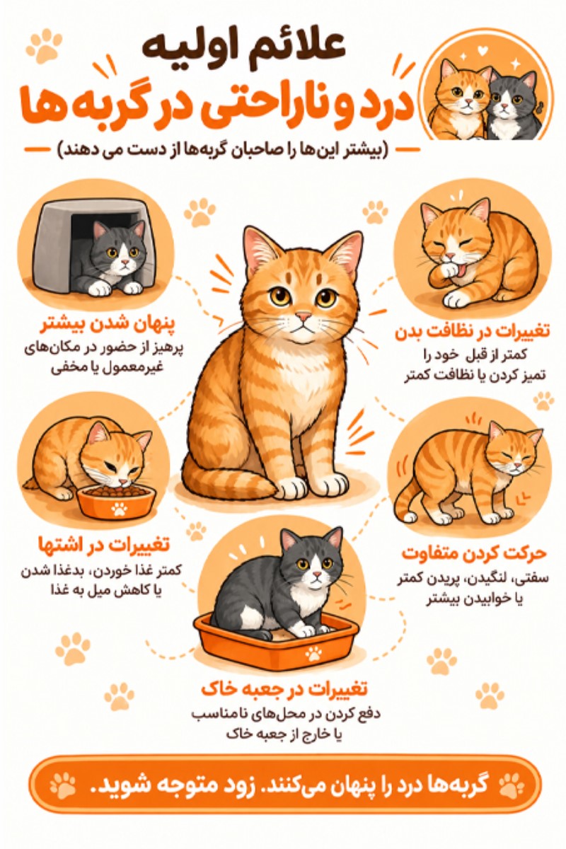 علائم مشکلات گوارشی در گربه&zwnj;ها (Clinical Signs)