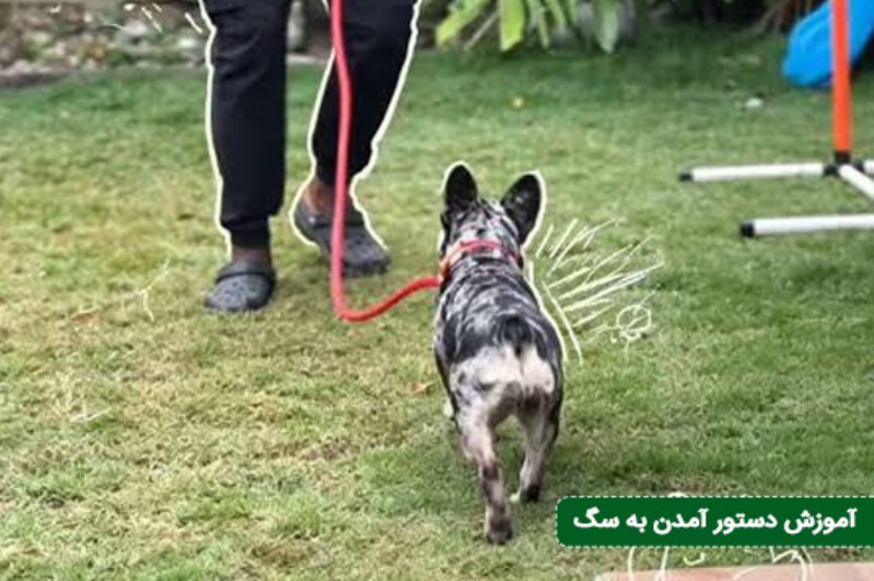 ۲. فرمان آمدن (Recall / Come) و حل مسئله پاداش معکوس