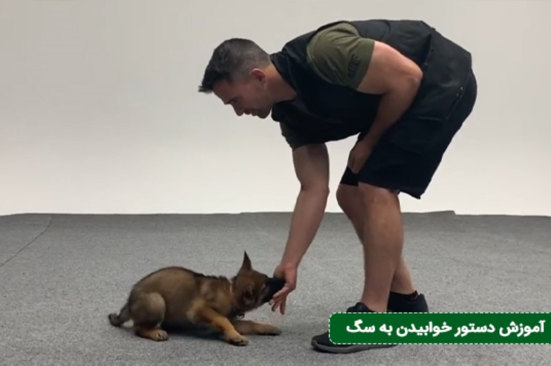 ۵. فرمان خوابیدن (Down) از طریق فریب فیزیکی غیرمستقیم