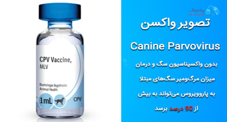 تصویر شیشه واکسن پاروو ویروس سگ 