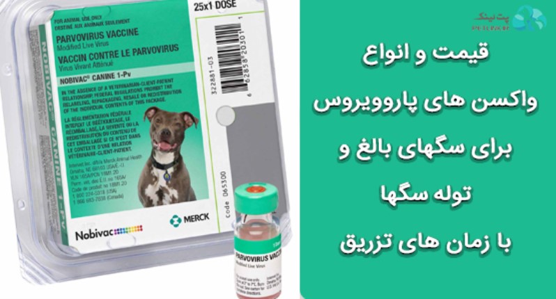 قیمت واکسن cpv یا پاروویروس برای توله سگ ها و سگهای بالغ و زمان های تزریق