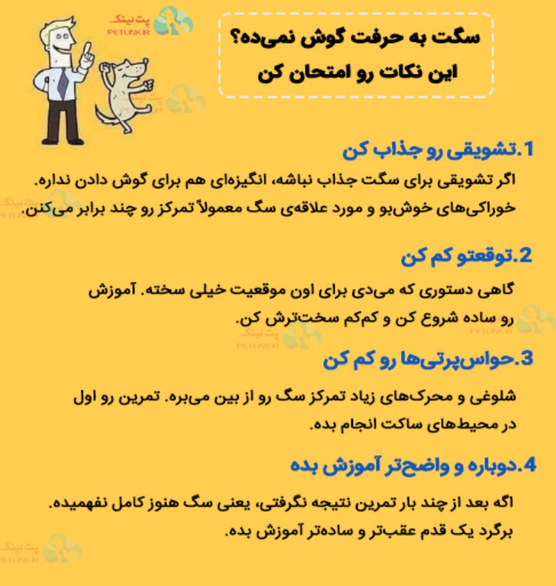 راه کارهایی برای گوش کردن سگ به حرفمون و حل مشکل نافرمانی سگ