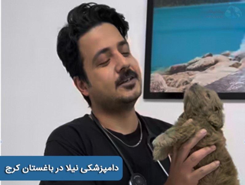دامپزشکی نیلا در باغستان کرج | دامپزشکی های کرج