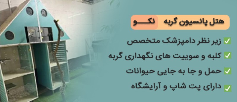 هتل پانسیون گربه نکو در سعادت آباد | پانسیون های گربه