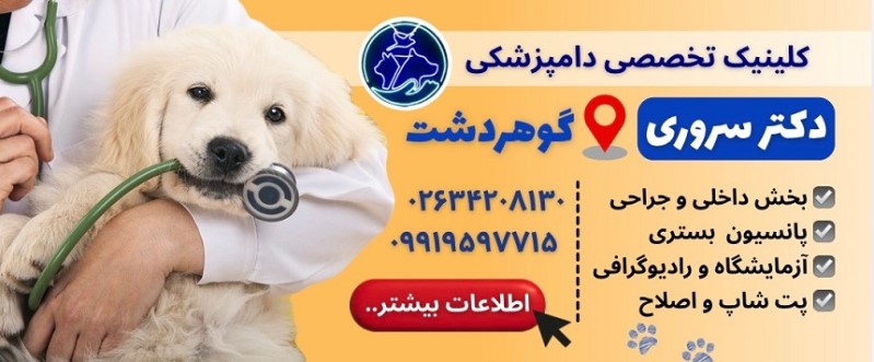 کلینیک دامپزشکی دکتر آرمین سروری