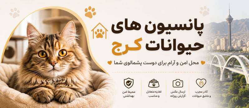 پانسیون گربه و سگ در کرج | پانسیون های گربه کرج
