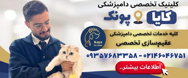 دامپزشکی کایا در اشرفی اصفهانی