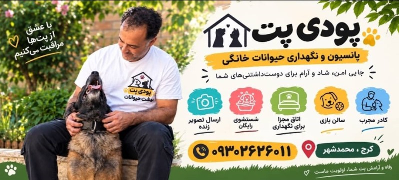 پانسیون پودی پت در کرج؛ نگهداری دلسوزانه برای سگ&zwnj;هایی با نیازهای متفاوت