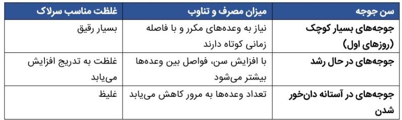 به جوجه عروس هلندی چقدر سرلاک بدیم؟