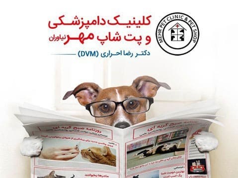 دامپزشکی مهر نیاوران