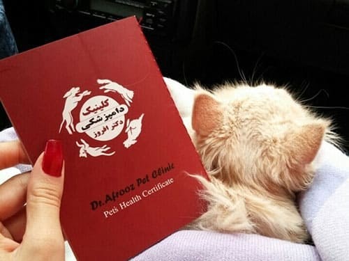 کلینیک افروزی