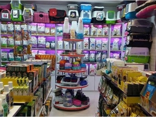 کلینیک دامپزشکی پرشا