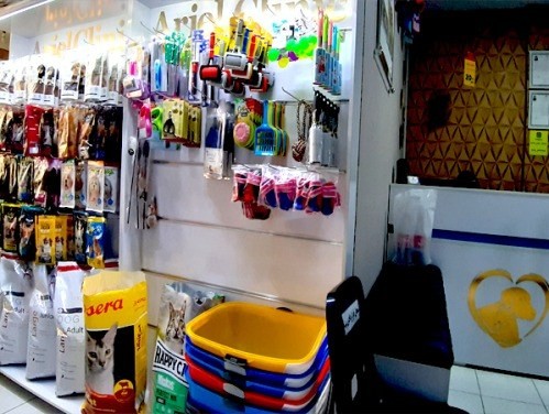 کلینیک دامپزشکی آریل
