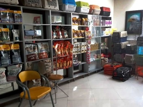 کلینیک دامپزشکی رازی