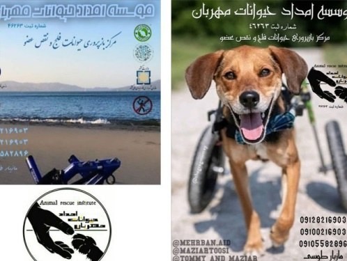 پناهگاه حیوانات مهربان