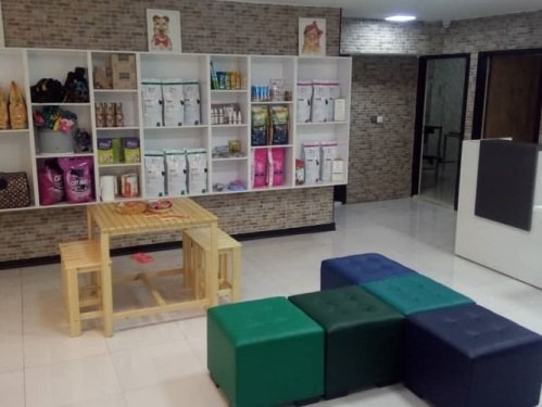 کلینیک دامپزشکی دکتر سینا