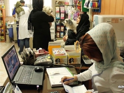 کلینیک دامپزشکی غزال