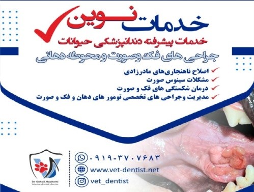 کلینیک دندانپزشکی حیوانات خانگی