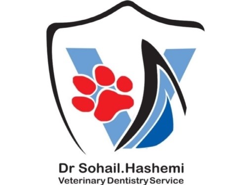 کلینیک دندانپزشکی حیوانات خانگی