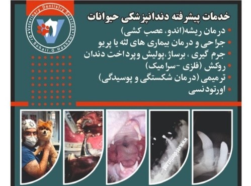 کلینیک دندانپزشکی حیوانات خانگی