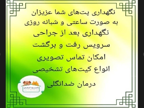 پانسیون خانگی سگ و گربه آسایش
