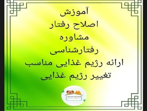 پانسیون خانگی سگ و گربه آسایش