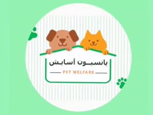 پانسیون خانگی سگ و گربه آسایش