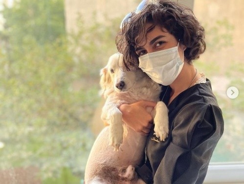 پانسیون حیوانات پت ویلا