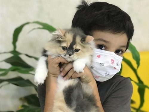 کلینیک دامپزشکی مژده نیاوران