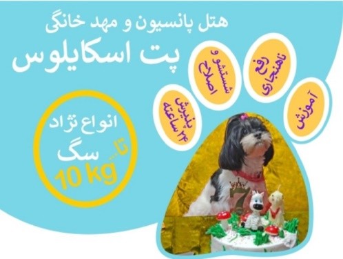 هتل پانسیون حیوانات پت اسکایلوس در شهر زیبا	