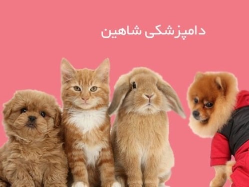 کلینیک دامپزشکی شاهین