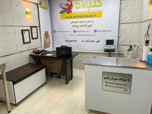 کلینیک دامپزشکی شهرزاد