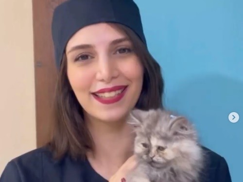 کلینیک دامپزشکی سپید
