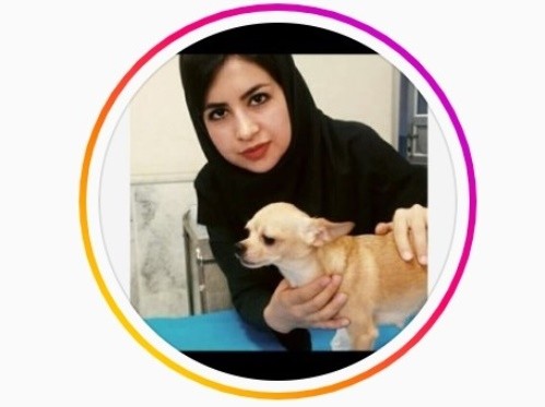 کلینیک دامپزشکی دکتر صادقی