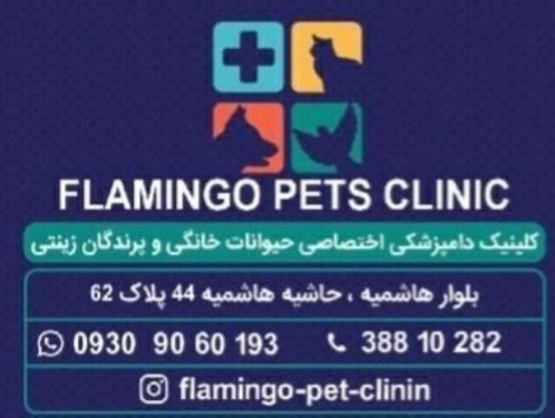 کلینیک دامپزشکی فلامینگو