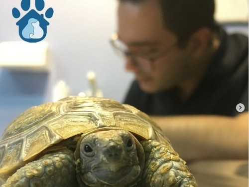 کلینیک دامپزشکی پناه