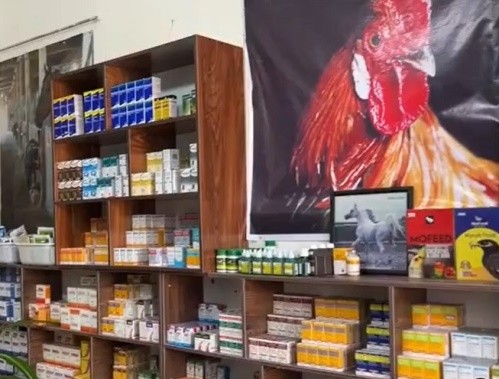 داروخانه دامپزشکی کسری در رفسنجان