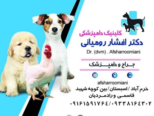 کلینیک دامپزشکی دکتر افشار رومیانی