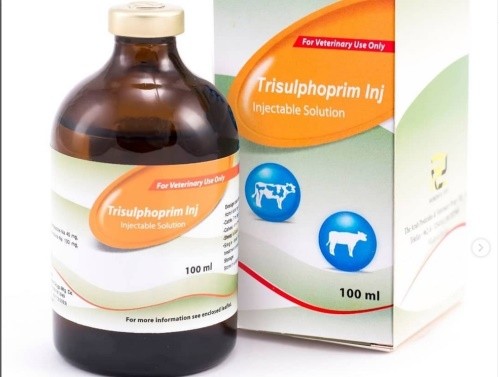 داروخانه دامپزشکی دکتر کریمیان در زنجان