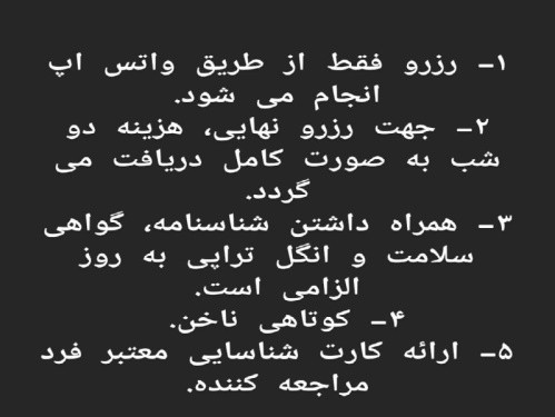 پانسیون خانگی گربه چیکو