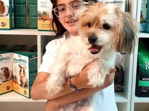 کلینیک دامپزشکی آرتا (آنیمو) در اشرفی اصفهانی